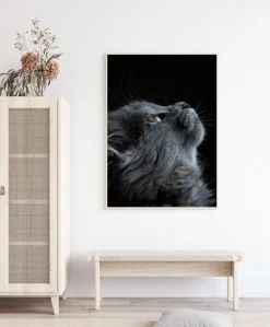 Kitten Plakat (21x29.7 cm (A4))