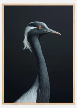 La Demoiselle Plakat (21x29.7 cm (A4))