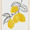 Lamya lemons Plakat (21x29.7 cm (A4))