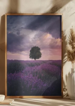 Lavender Fields Plakat (21x29.7 cm (A4))