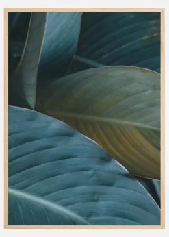 Leaf Close-Up Plakat (21x29.7 cm (A4))