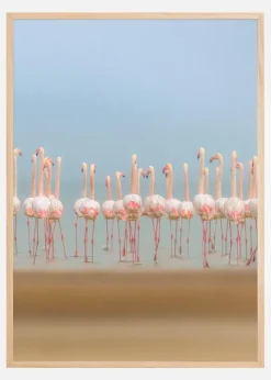 Leavers Plakat (21x29.7 cm (A4))