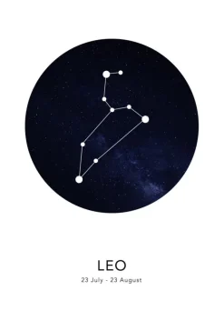 Leo Plakat (21x29.7 cm (A4))