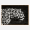 Leopard Close Up Plakat (21x29.7 cm (A4))