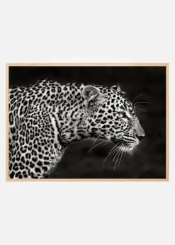 Leopard Close Up Plakat (21x29.7 cm (A4))