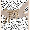 Leopard Sleeping Polkadots Plakat (21x29.7 cm (A4))