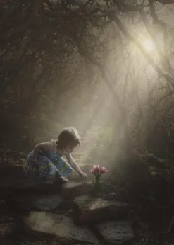 Light Up The Flower Plakat (21x29.7 cm (A4))