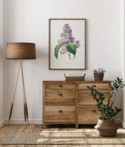 Lilac Flower Plakat (21x29.7 cm (A4))