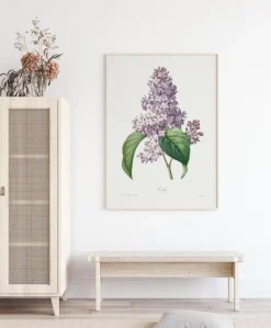 Lilac Flower Plakat (21x29.7 cm (A4))