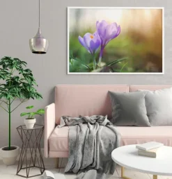 Lilla Krokus Plakat (30x40 cm)