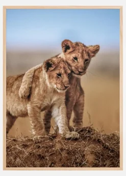 Lion Brothers For Life Plakat (21x29.7 cm (A4))