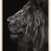 Lion In Profile Plakat (21x29.7 cm (A4))