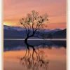 Lone Tree Is Not Lonely Plakat (21x29.7 cm (A4))