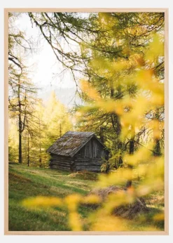 Lonely Cabbin Plakat (21x29.7 cm (A4))