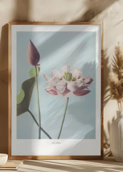 Lotus Flowers Plakat (21x29.7 cm (A4))