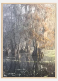 Louisiana Swamp Plakat (21x29.7 cm (A4))