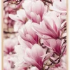 Magnolia Tree Plakat (21x29.7 cm (A4))