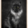 Maincoon Plakat (21x29.7 cm (A4))