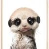 Meerkat Watercolor Plakat (21x29.7 cm (A4))