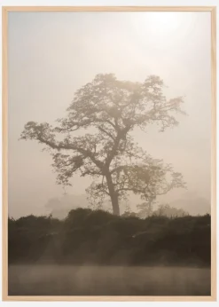 Misty Tree Plakat (21x29.7 cm (A4))