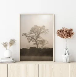 Misty Tree Plakat (21x29.7 cm (A4))
