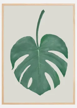 Monstera Aqua Plakat (21x29.7 cm (A4))