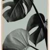 Monstera Teal I Plakat (21x29.7 cm (A4))