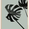 Monstera Teal II Plakat (21x29.7 cm (A4))