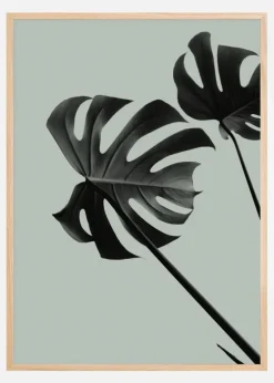 Monstera Teal II Plakat (21x29.7 cm (A4))