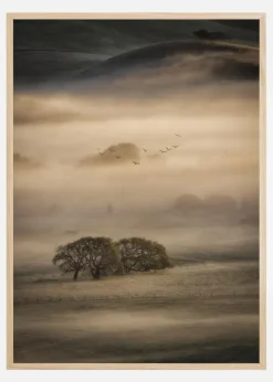 Morning Fog Plakat (21x29.7 cm (A4))