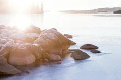 Morning Hour Plakat (21x29.7 cm (A4))