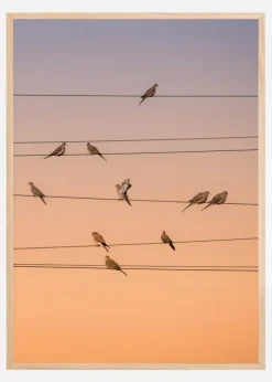 Music Of Light Plakat (21x29.7 cm (A4))