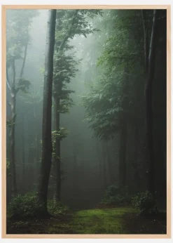 Mysterious forest Plakat (21x29.7 cm (A4))