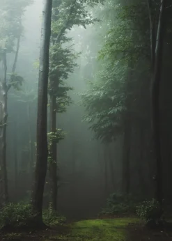 Mysterious forest Plakat (21x29.7 cm (A4))