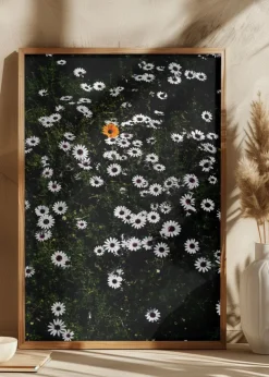 Namaqua Plakat (21x29.7 cm (A4))