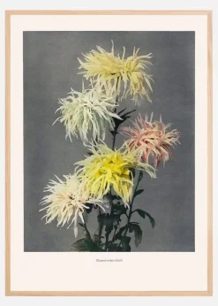 Namiachiadori Plakat (21x29.7 cm (A4))