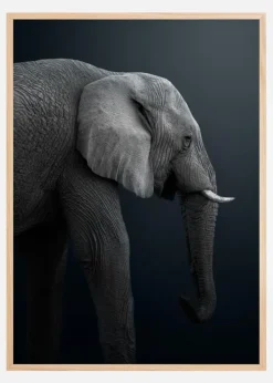 Namibian Elephant Plakat (21x29.7 cm (A4))