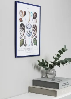 New Lifestyle Collageramme Blå - 5 Billeder