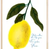 Not Antoher Lemon Plakat (21x29.7 cm (A4))