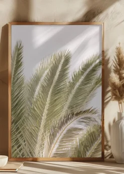 Oasis Palm 01 Oa 01 Plakat (21x29.7 cm (A4))