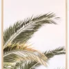 Oasis Palm 03 Plakat (21x29.7 cm (A4))