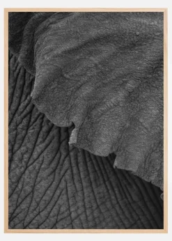 Olifant 02 Plakat (21x29.7 cm (A4))
