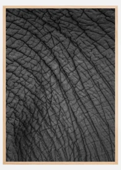 Olifant 03 Plakat (21x29.7 cm (A4))