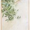 Olive Tree Leaves Plakat (21x29.7 cm (A4))