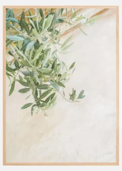 Olive Tree Leaves Plakat (21x29.7 cm (A4))