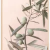 Olives Plakat (21x29.7 cm (A4))