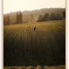 On the fields Plakat (21x29.7 cm (A4))