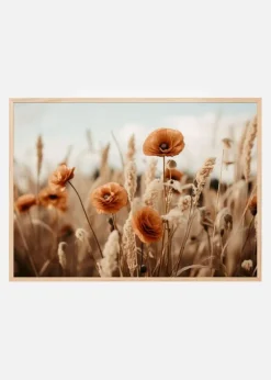 Orange Poppy Field Plakat (21x29.7 cm (A4))