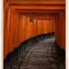 Orange tunnel Plakat (21x29.7 cm (A4))