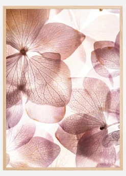 Orchid Plakat (21x29.7 cm (A4))